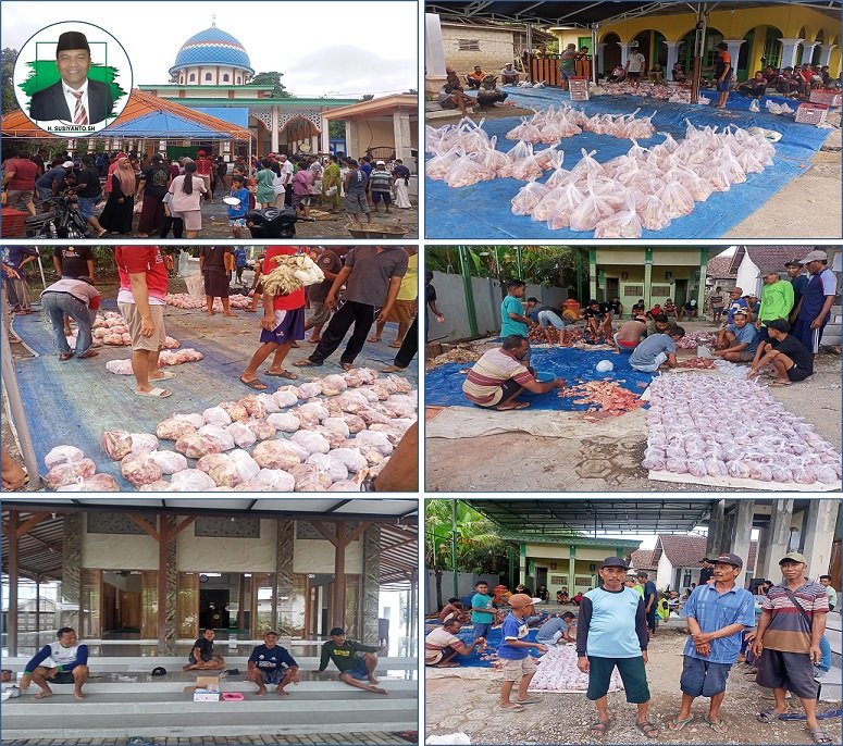 Jelang Idul Adha, Anggota DPRD Banyuwangi Fraksi PKB H. Susiyanto Salurkan 1 Sapi dan 10 Kambing Kurban di Purwoharjo